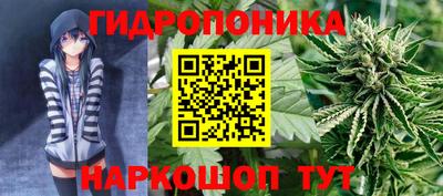 ГАЛЛЮЦИНОГЕННЫЕ ГРИБЫ Аша