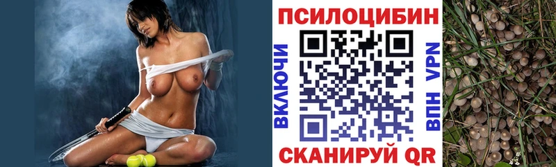 Галлюциногенные грибы мицелий сколько стоит Братск