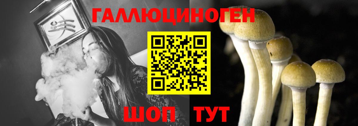 Галлюциногенные грибы мицелий  Галлюциногенные грибы Cubensis  Вход с VPN  Братск 